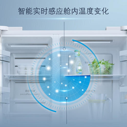 西门子冰箱KA98NVA22C 商品图2