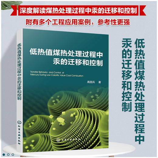 低热值煤热处理过程中汞的迁移和控制 商品图0