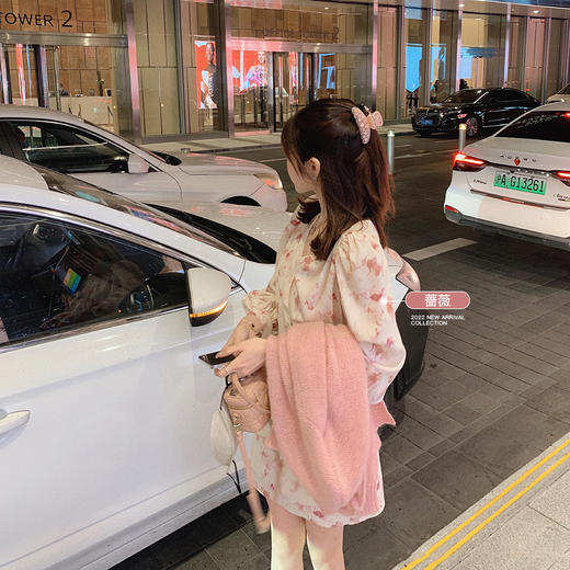 金蘑菇菇【春甜杜桑 印花系列】定制花色！法式碎花连衣裙 商品图2