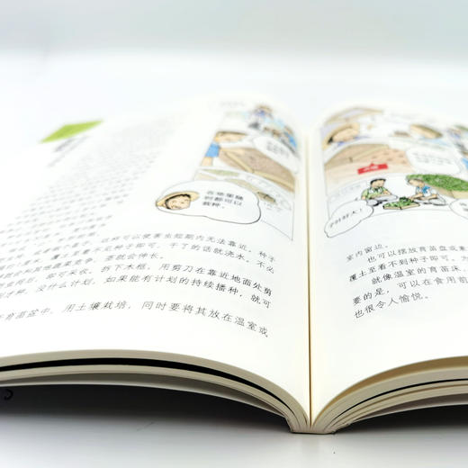 图解福田俊的家庭小菜园 【官方正版】 商品图3