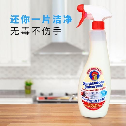 大公鸡多能油污净（600ml） 商品图0