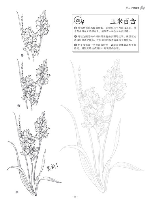 百花描摹集 商品图7