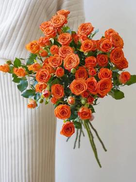 【周四秒杀】多头橙芭比玫瑰5枝49.8元