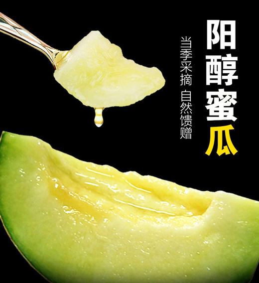 洛嘉生态网纹瓜2个，净重4.8斤 商品图1