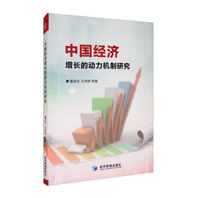 (仓发) 中国经济增长的动力机制研究/经济管理出版社/董直庆，王林辉，等/9787509673836