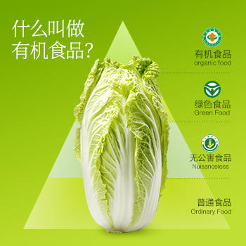 有机蔬菜礼盒8斤（山东省内） 商品图3