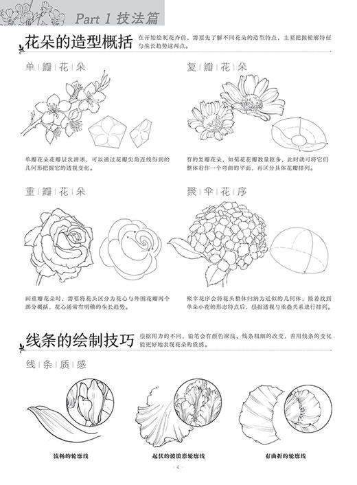 百花描摹集 商品图2