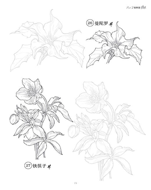 百花描摹集 商品图6