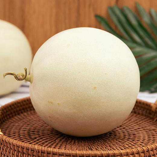 山东玉菇甜瓜 2个装 净重4.5-5斤 商品图3