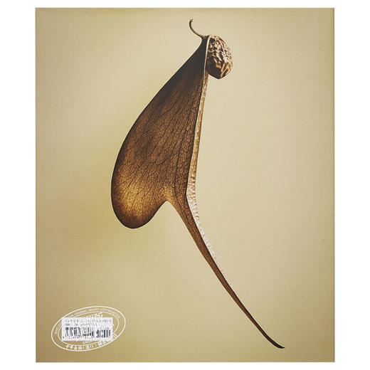 【中商原版】种子和果实的隐藏之美 植物静物摄像集 Levon Biss植物摄影集 The Hidden Beauty of Seeds & Fruits 进口艺术 商品图1