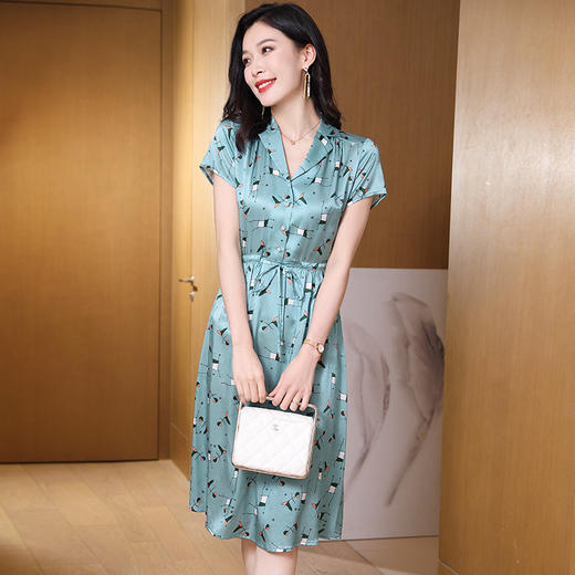 ASE-9303气质韩版优雅女士连衣裙 商品图2