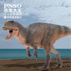 PNSO中华盗龙新川恐龙大王成长陪伴模型62