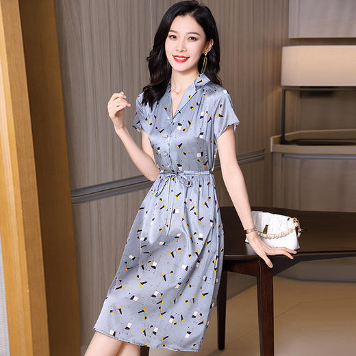 ASE-9303气质韩版优雅女士连衣裙 商品图1