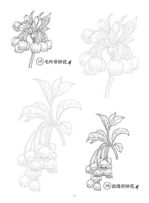 百花描摹集 商品图5