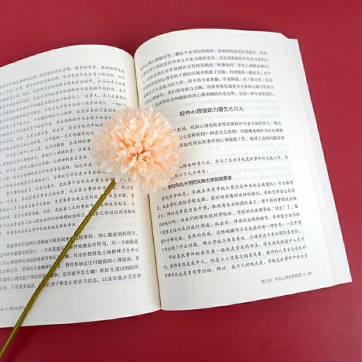 【心如健推荐】探寻与卓越：心理老师成长之路 大夏书系 商品图3