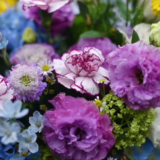 《紫鸢》蝴蝶兰绣球桔梗手提花篮 商品图5