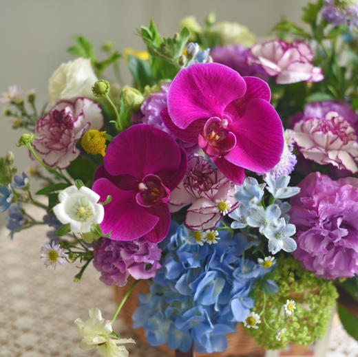 《紫鸢》蝴蝶兰绣球桔梗手提花篮 商品图3