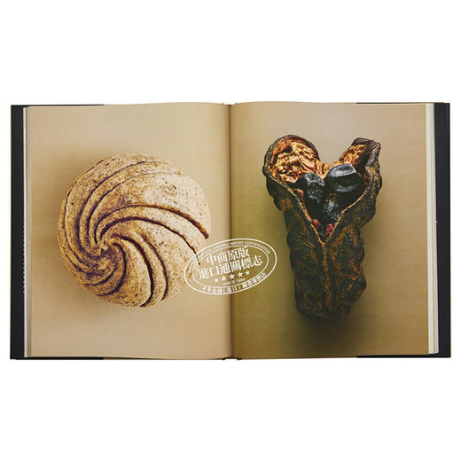 【中商原版】种子和果实的隐藏之美 植物静物摄像集 Levon Biss植物摄影集 The Hidden Beauty of Seeds & Fruits 进口艺术 商品图5