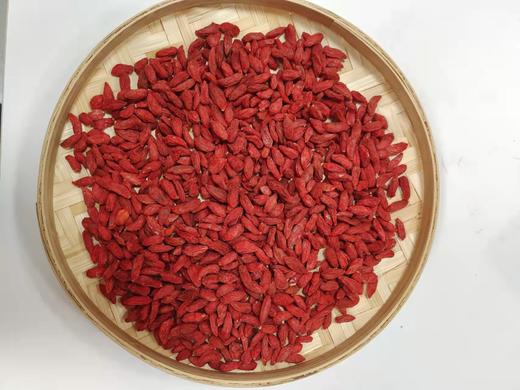 宁夏海原沙土地生态枸杞 商品图1