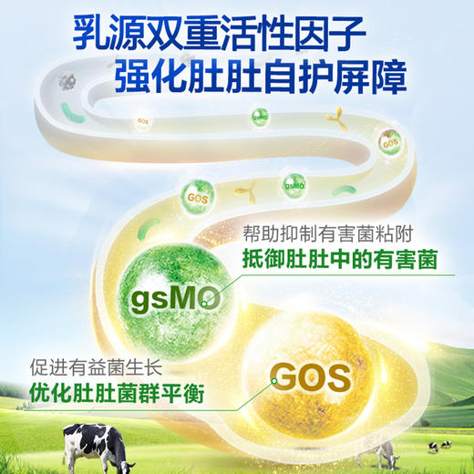 诺优能活力蓝罐（Nutrilon）4段奶粉900g一箱 商品图6