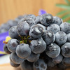 【顺丰包邮】云南夏黑葡萄 2斤家庭装/3斤彩箱装 商品缩略图1