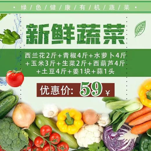 【民生保障】新鲜蔬菜大礼包一份 商品图0