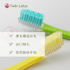 双莲螺旋磨毛牙刷（去牙渍专用型）win Lotus双莲牙刷硬毛 泰国螺旋磨毛去渍型硬毛成人牙刷支男士女士家用 商品缩略图0
