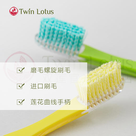 双莲螺旋磨毛牙刷（去牙渍专用型）win Lotus双莲牙刷硬毛 泰国螺旋磨毛去渍型硬毛成人牙刷支男士女士家用 商品图0