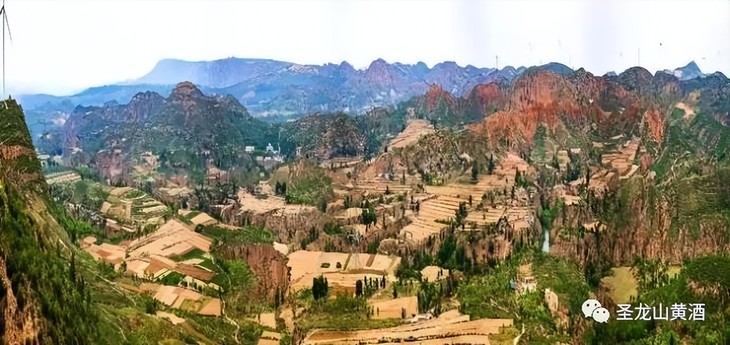 喝聖龍山黄酒，交有文化朋友”