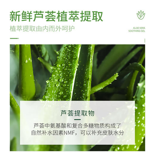 仁和芦荟胶 补水保湿祛痘修复痘印芦荟凝胶护肤品 商品图1