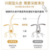 【深层清洁头皮 补充头皮营养】卓蓝雅生姜头皮按摩膏（8号果冻装）25ml*6+头皮精华液（10号）50ml*2 商品缩略图5