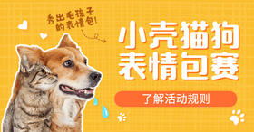 第一届毛孩子表情包大赛！