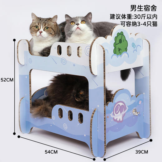 【住在上铺的猫兄】二胎计划创意猫抓板双层大号玩具瓦楞纸猫窝上下铺猫爬架 商品图7