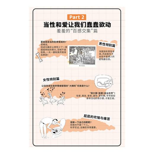 【心如健推荐】人体的秘密耶尔阿德勒 登顶明镜周刊畅销榜健康百科 商品图3
