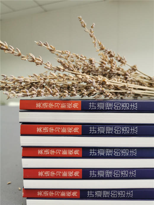 讲道理的语法 英语学习新视角 高中英语语法高考升学参考资料 商品图1