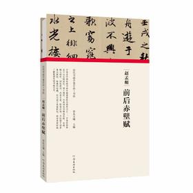 (仓发) (历代书画手卷百品 书法)赵孟頫 前后赤壁赋/河南美术出版社/朱天曙/9787540151980