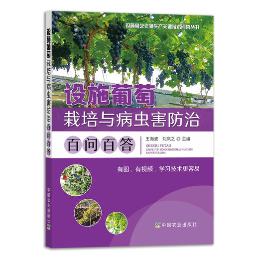 设施园艺作物生产关键技术问答丛书【中国农业出版社官方正版】 商品图1