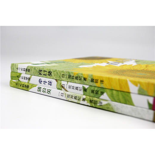 一粒种子的旅程 蒲公英牵牛花向日葵全3册 精装绘本儿童绘本幼儿园3-6-8周岁科普百科宝宝睡前阅读启蒙认知 荒井真纪 新星出版社 商品图2
