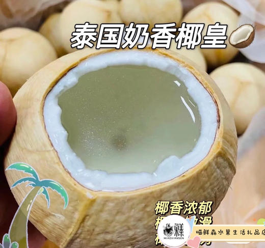 🛵泰国奶香椰皇天然清甜无添加 商品图6