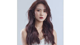 葡萄紫棕色-L8-66