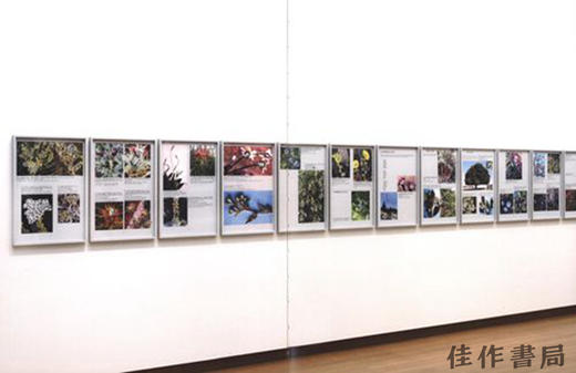 【全新现货】 Walid Raad - Let's Be Honest, The Weather Helped/瓦利德·拉德-人诚之，天助之 商品图1