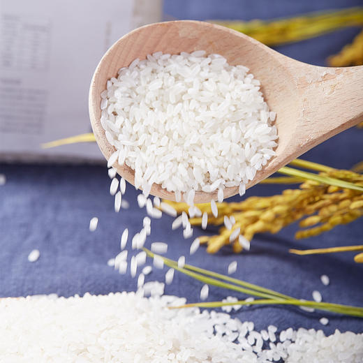 鲜8-五常大米 商品图7