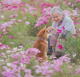 感情幸福的终极秘诀是什么？