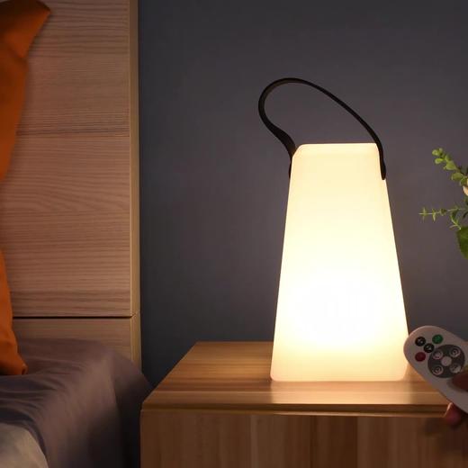新款卧室床头小台灯简约ins温馨氛围usb遥控开关手提小夜灯 商品图0
