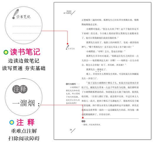 小鲤鱼跳龙门二年级上册必读课外书孤独的小螃蟹一只想飞的猫小狗的小房子歪脑袋木头桩快乐读书吧78910岁小学生童话故事书正版 商品图3
