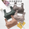 黛唯梵【买一送一】美背抹胸内衣女蕾丝边无钢圈运动吊带短背心内搭外穿学生韩版文胸 商品缩略图6