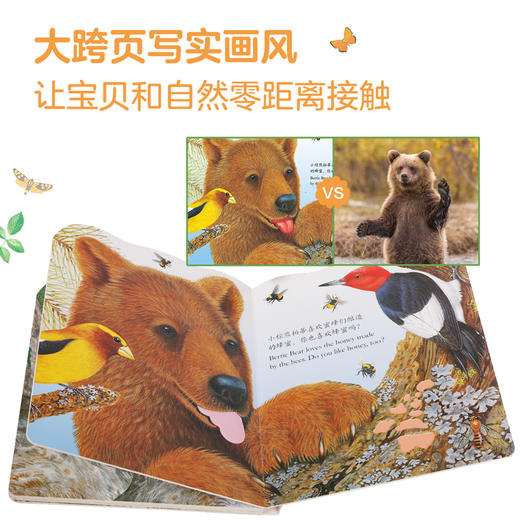 小兔比利 幼儿早教书亮丽精美小熊波比婴儿0-3岁宝宝书本认知撕不烂感官刺激机关儿童启蒙绘本1-2岁翻翻洞洞触摸书 商品图4