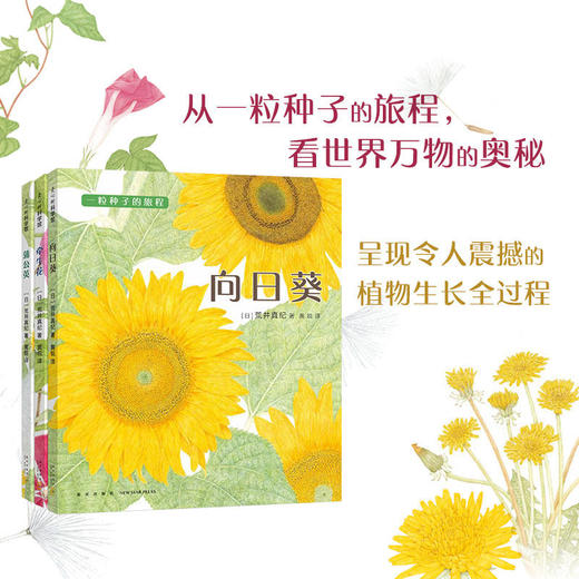 一粒种子的旅程 蒲公英牵牛花向日葵全3册 精装绘本儿童绘本幼儿园3-6-8周岁科普百科宝宝睡前阅读启蒙认知 荒井真纪 新星出版社 商品图0