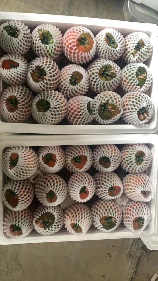 【又是一年成熟季，就是好吃】梁家院正宗盘锦碱地草莓柿子铁柿子净5斤，多年爆款产品，还是从前那个味儿~柿味浓郁，口感软沙，盘锦地理标志保护产品，顺丰/京东全国包邮（偏远地区除外） 商品图7