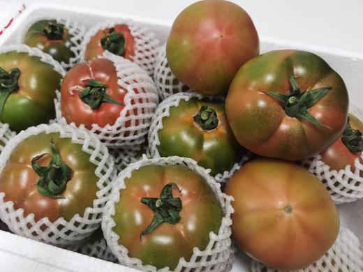 【又是一年成熟季，就是好吃】梁家院正宗盘锦碱地草莓柿子铁柿子净5斤，多年爆款产品，还是从前那个味儿~柿味浓郁，口感软沙，盘锦地理标志保护产品，顺丰/京东全国包邮（偏远地区除外） 商品图11